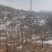 出售山村民房及山林