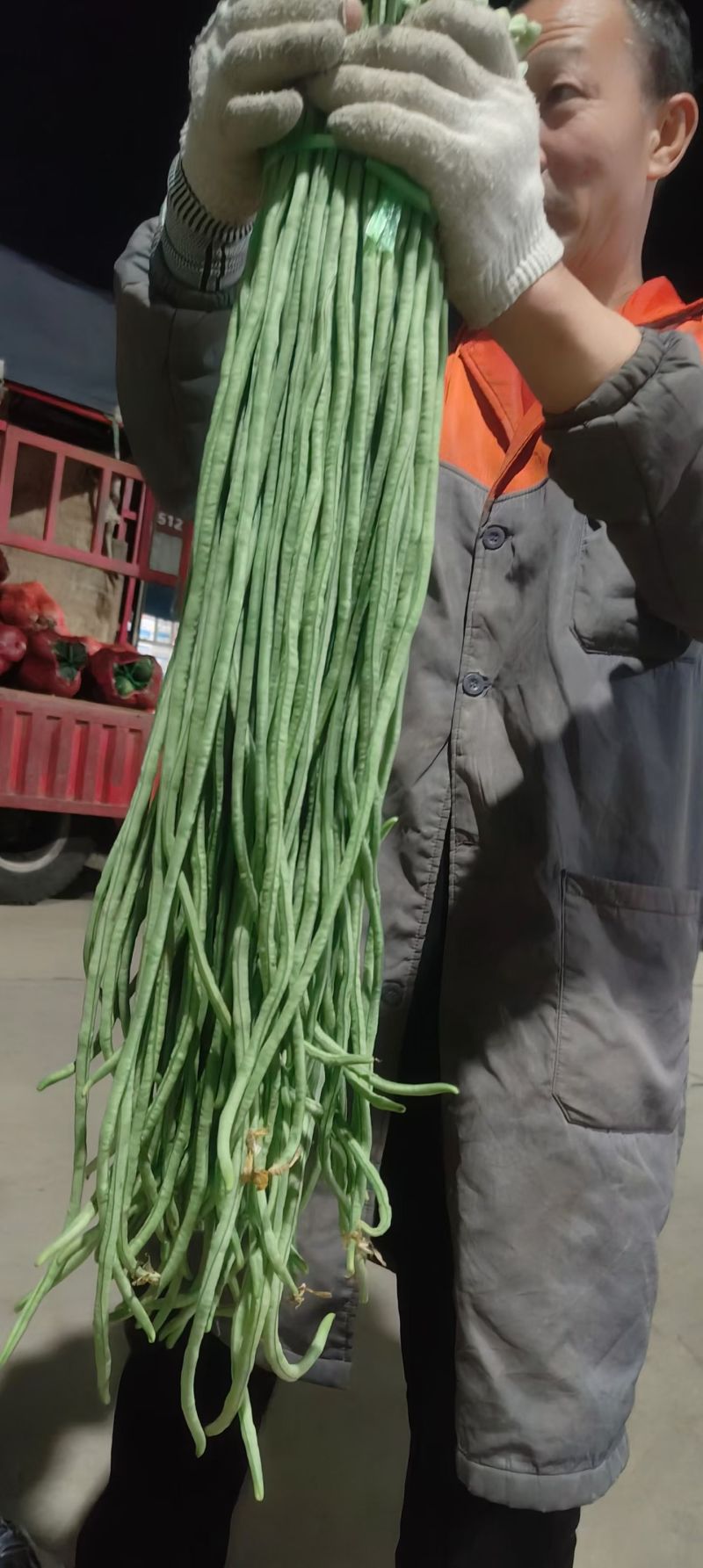 长豆角上货量加大，商超，批发市场，大量供应