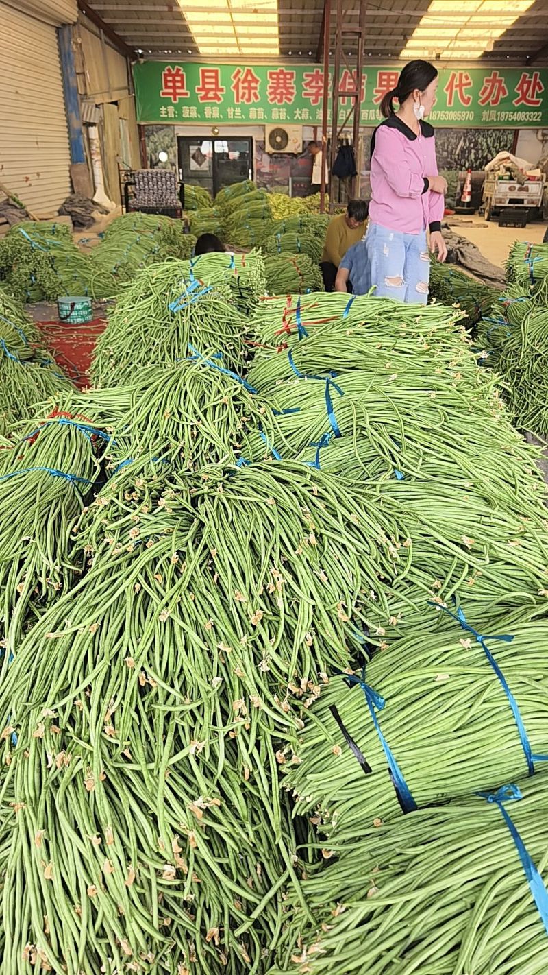 长豆角上货量加大，商超，批发市场，大量供应