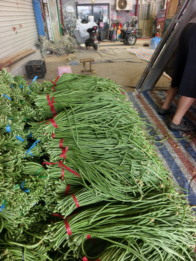 长豆角上货量加大，商超，批发市场，大量供应