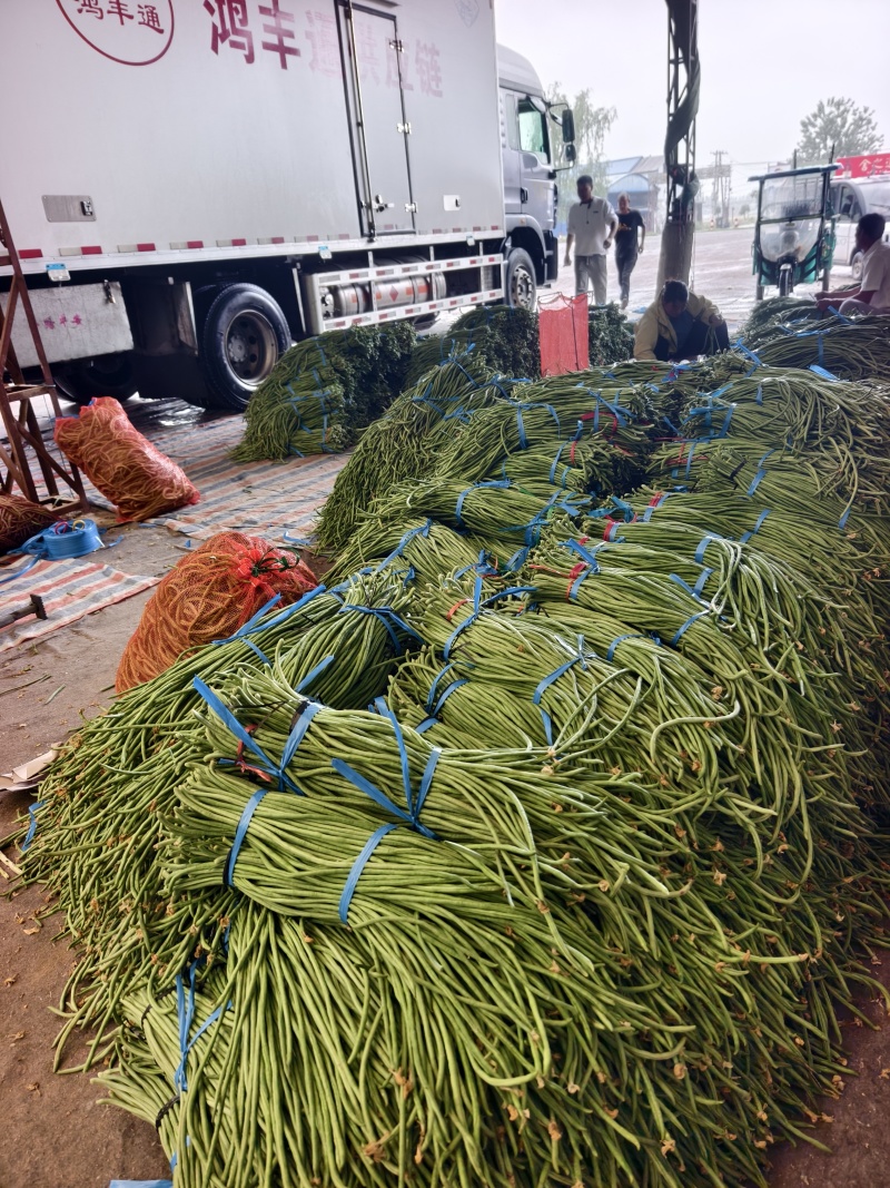长豆角上货量加大，商超，批发市场，大量供应