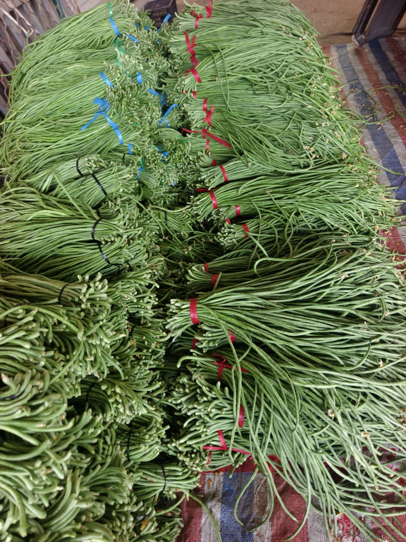 长豆角上货量加大，商超，批发市场，大量供应