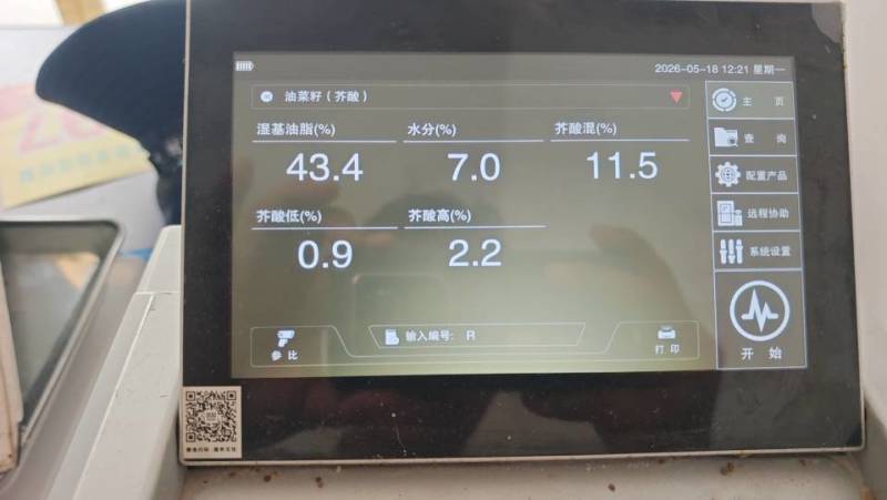 常年供应精品油菜籽
