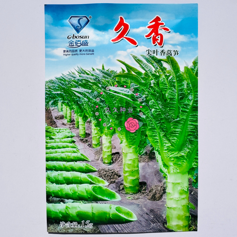 久香耐热尖叶香莴笋种子四季高温早熟青皮绿肉莴笋蔬菜种子