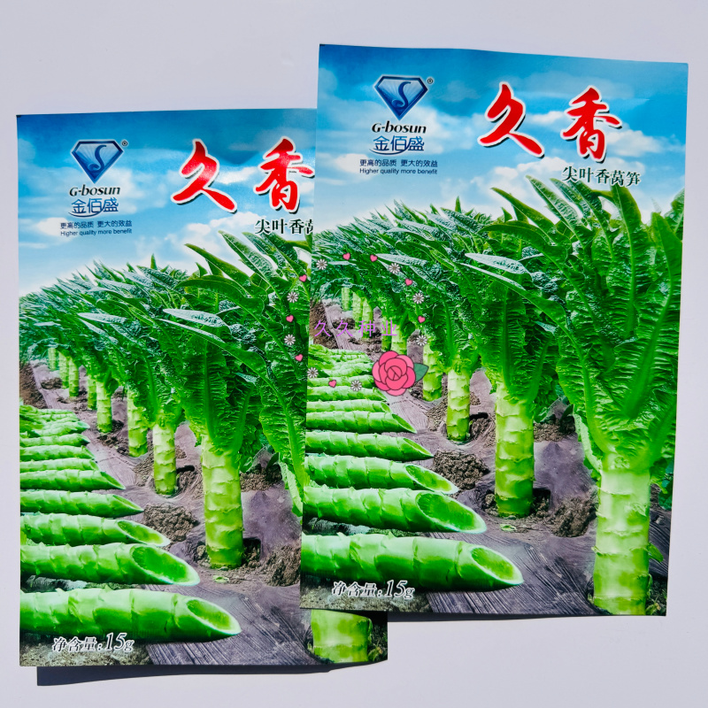 久香耐热尖叶香莴笋种子四季高温早熟青皮绿肉莴笋蔬菜种子