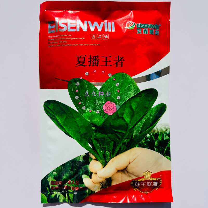夏播**菠菜种子抗热抗高温越夏耐抽苔抗病大圆叶菠菜种籽