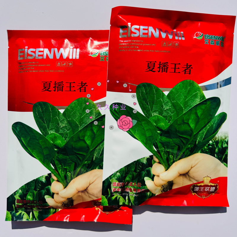 夏播**菠菜种子抗热抗高温越夏耐抽苔抗病大圆叶菠菜种籽