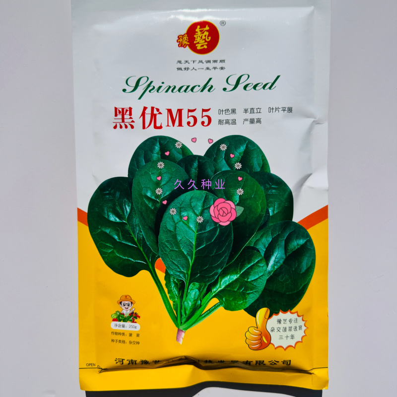 豫艺黑优M55菠菜种子高产耐低温耐热黑圆叶直立菠菜种籽