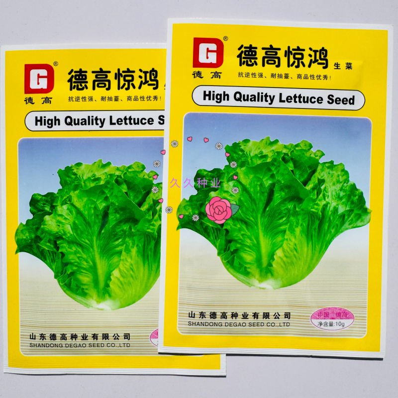 德高惊鸿生菜种子耐湿热高脚直立紧凑抗逆耐抽苔基地大田用种