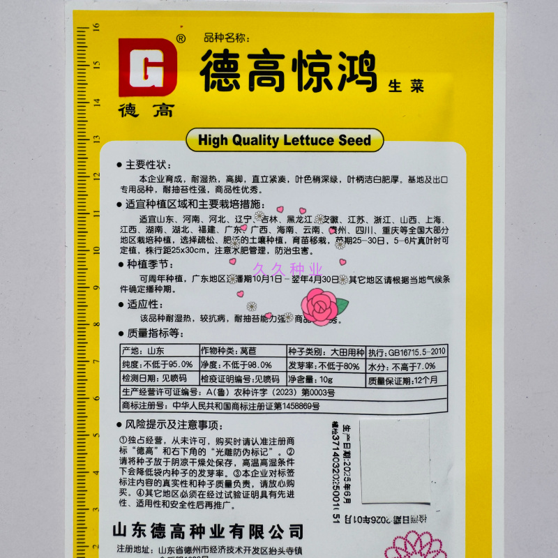 德高惊鸿生菜种子耐湿热高脚直立紧凑抗逆耐抽苔基地大田用种