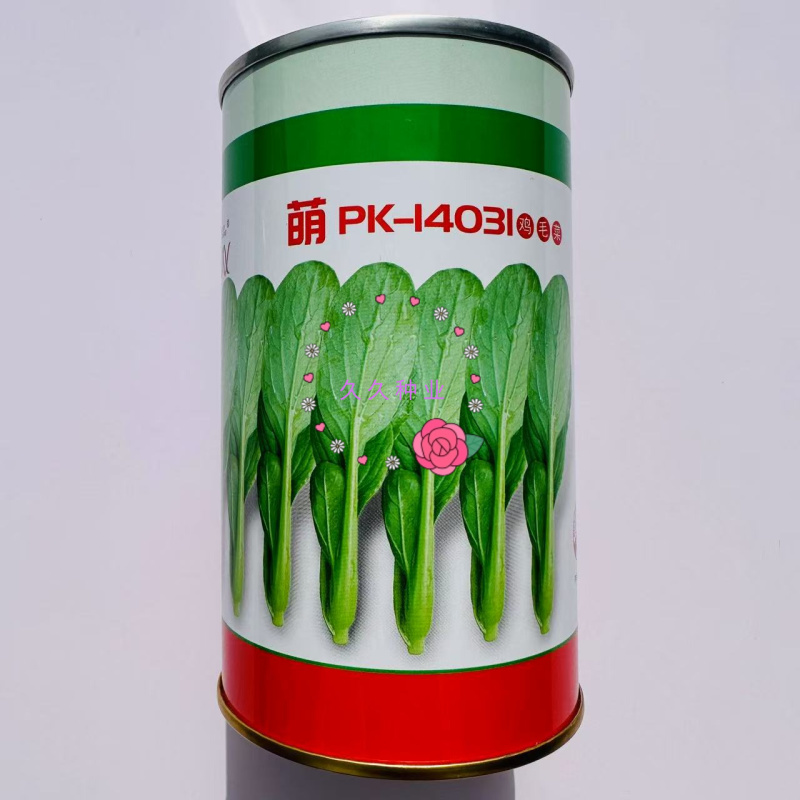 萌PK-14031鸡毛菜种子生长快浓绿叶鸡毛菜种子夏季