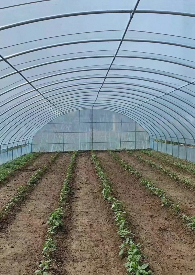 二手大棚西瓜大棚蔬菜大棚羊肚菌大棚日光温室二手大棚骨架