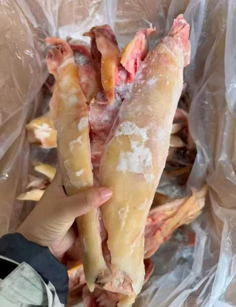 去骨生牛蹄