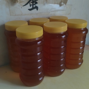 农家土蜂蜜