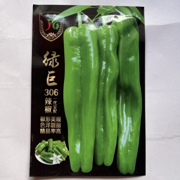 绿巨306大果牛角椒种子品种杂交一代抗病品种种子