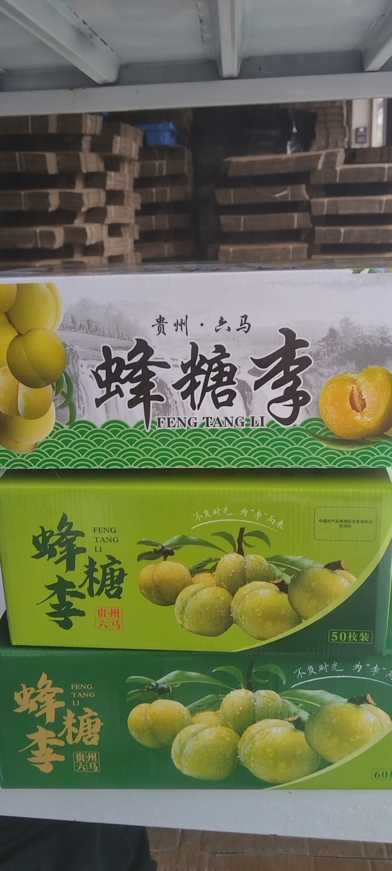 六马中蜂糖李