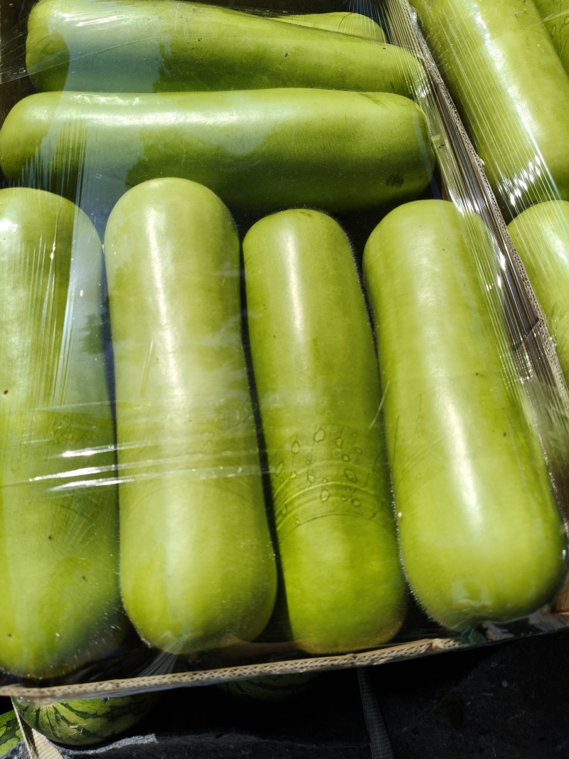 精品瓠瓜
