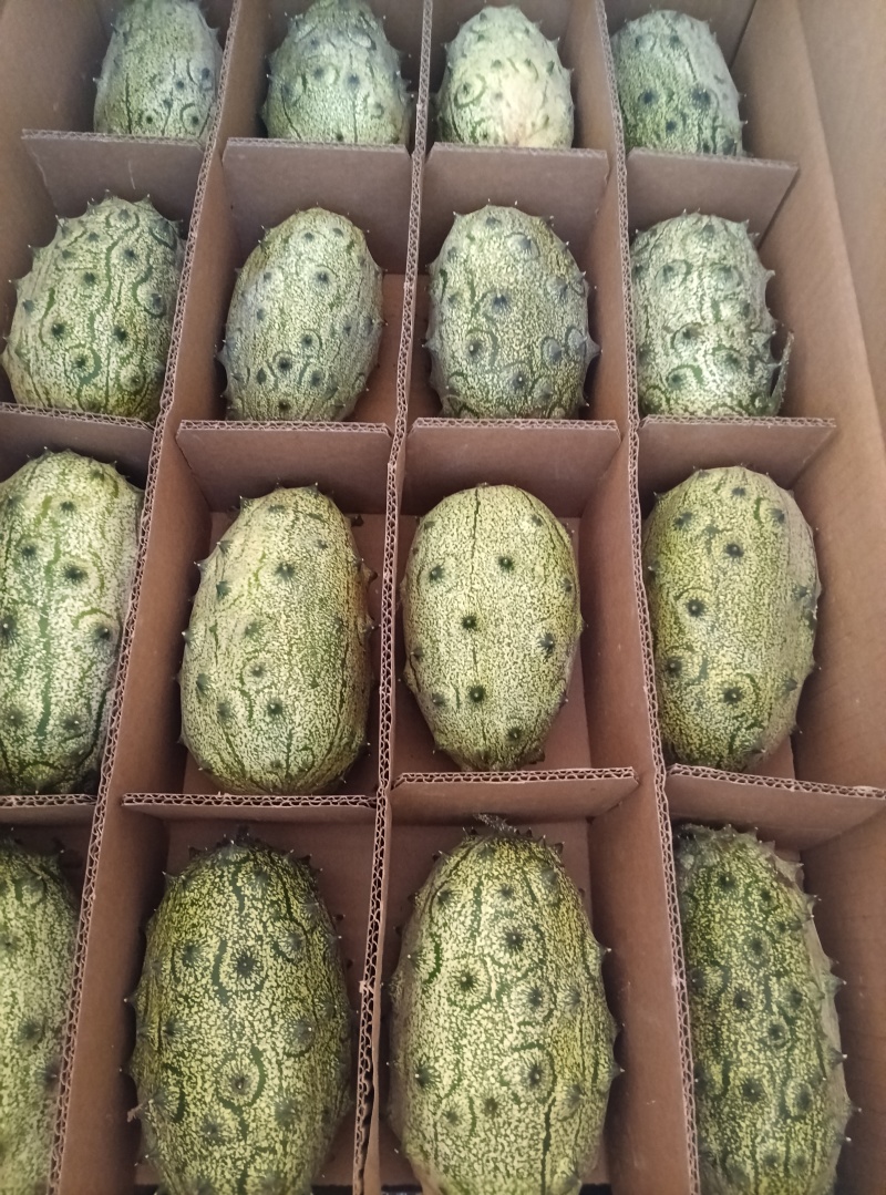剌角瓜（火参果）