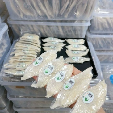 企标质检大燕条