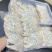 企标质检大燕条