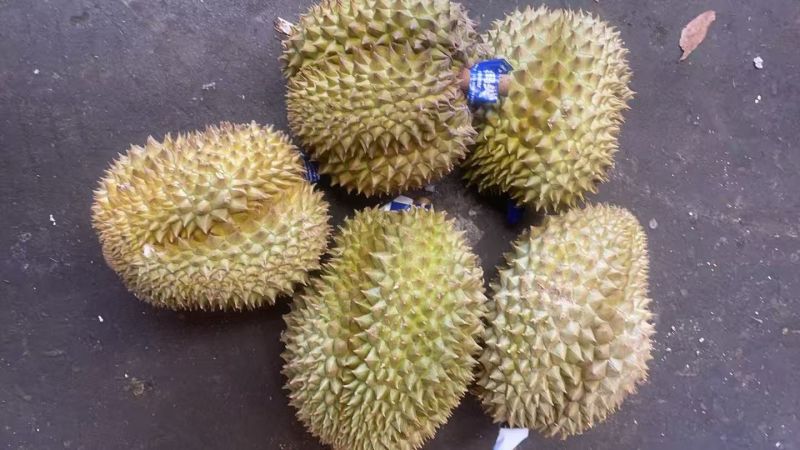 品种齐全，质量稳定有保证