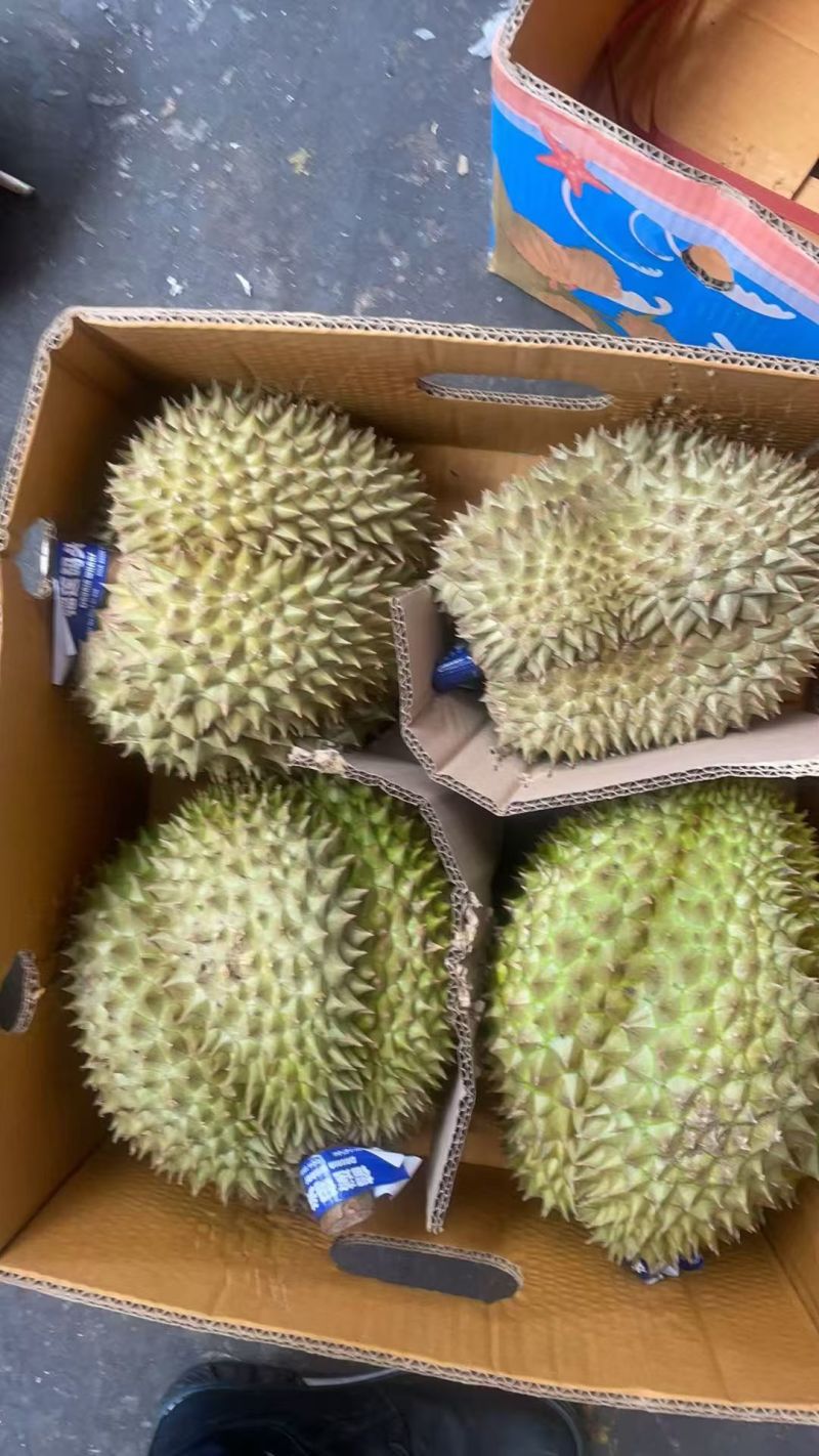 品种齐全，质量稳定有保证