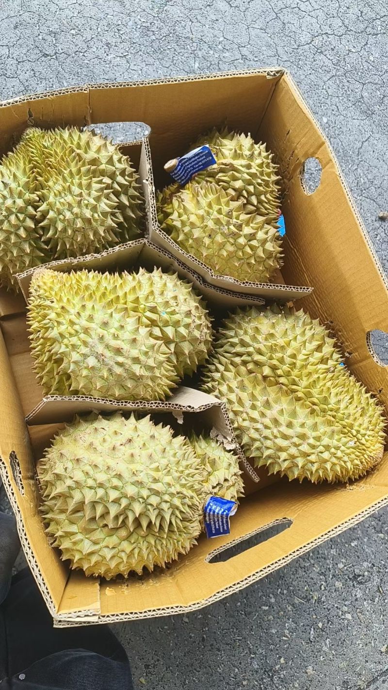 品种齐全，质量稳定有保证