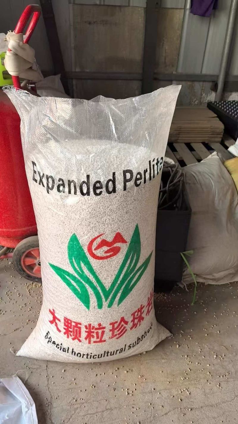 育苗专用珍珠岩