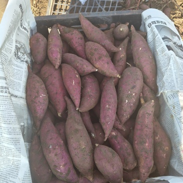 榴莲蜜薯特价商品