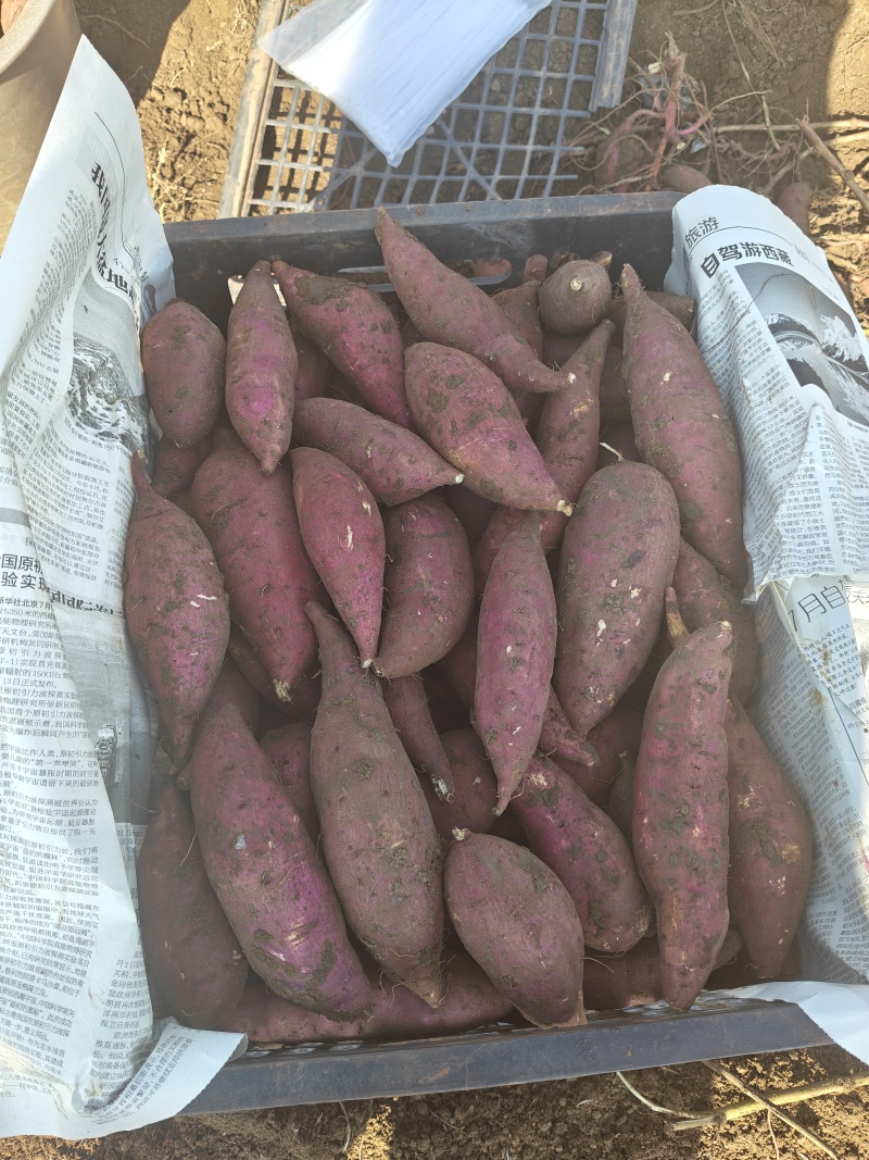 榴莲蜜薯特价商品