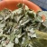 伏牛山野生淫羊藿仙灵脾无硫