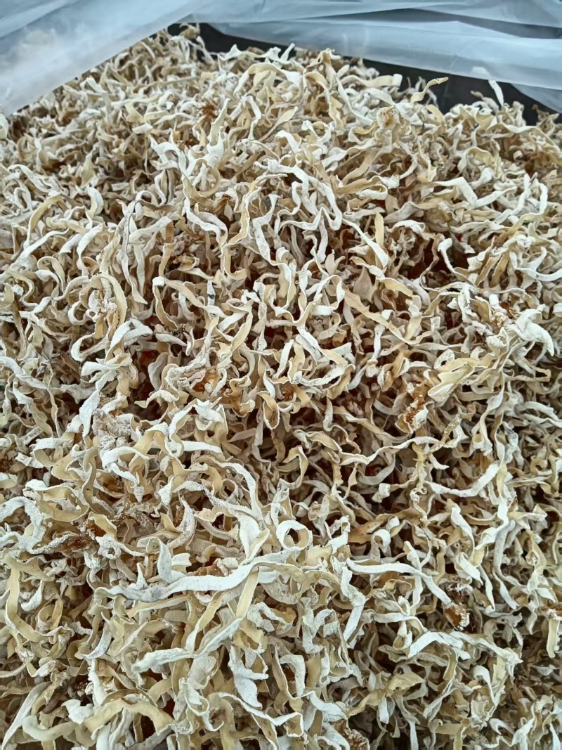 白木耳白木耳竹耳丝，贵妃木耳丝