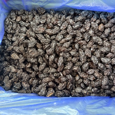 西梅干各种颗粒新疆乌兹沧州发货热卖整车单件发货