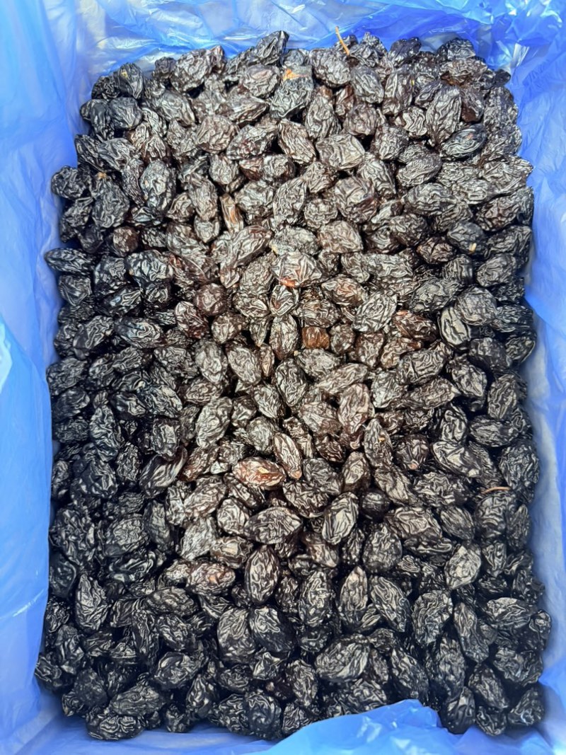 西梅干各种颗粒新疆乌兹沧州发货热卖整车单件发货