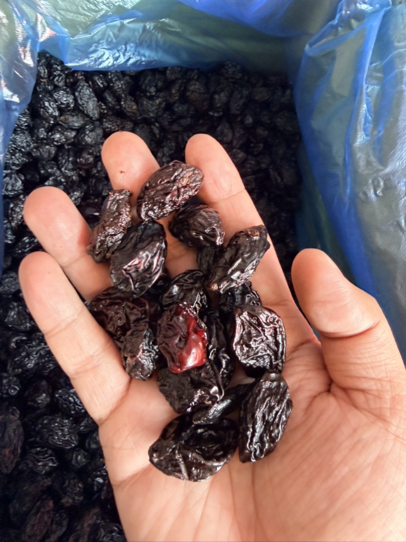 西梅干各种颗粒新疆乌兹沧州发货热卖整车单件发货