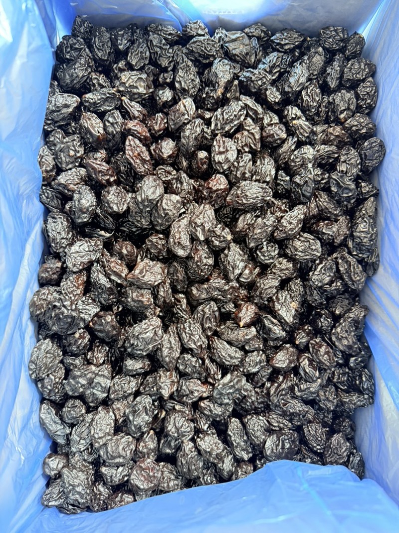 西梅干各种颗粒新疆乌兹沧州发货热卖整车单件发货