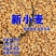 26年当季新小麦优质小麦麦子对接各大加工厂面粉厂