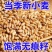 26年当季新小麦优质小麦麦子对接各大加工厂面粉厂
