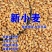 26年当季新小麦优质小麦麦子对接各大加工厂面粉厂