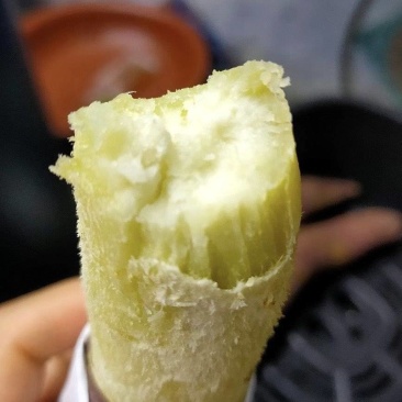 包邮栗子薯香甜粉糯广东阳江市阳西县海边沙地红薯