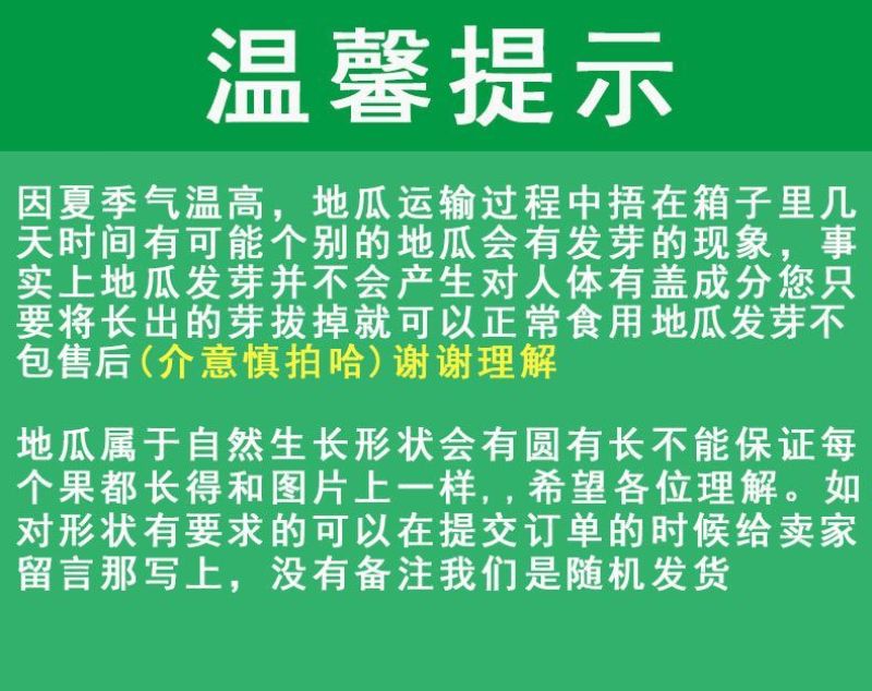 包邮栗子薯香甜粉糯广东阳江市阳西县海边沙地红薯