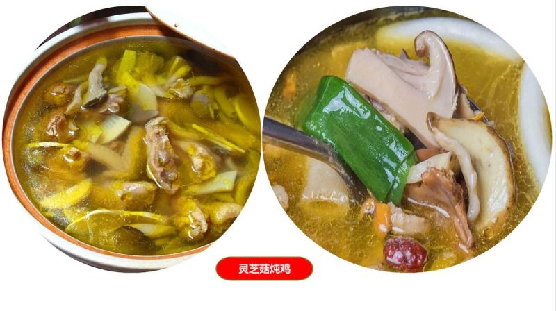 灵芝菇鲜品干品系列***********