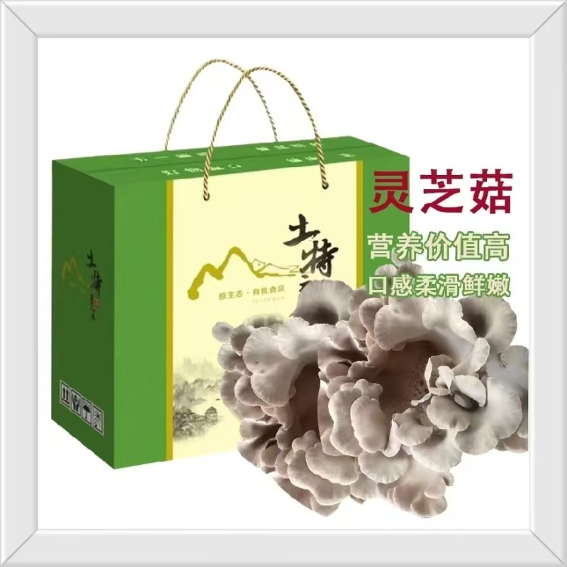 灵芝菇鲜品干品系列***********