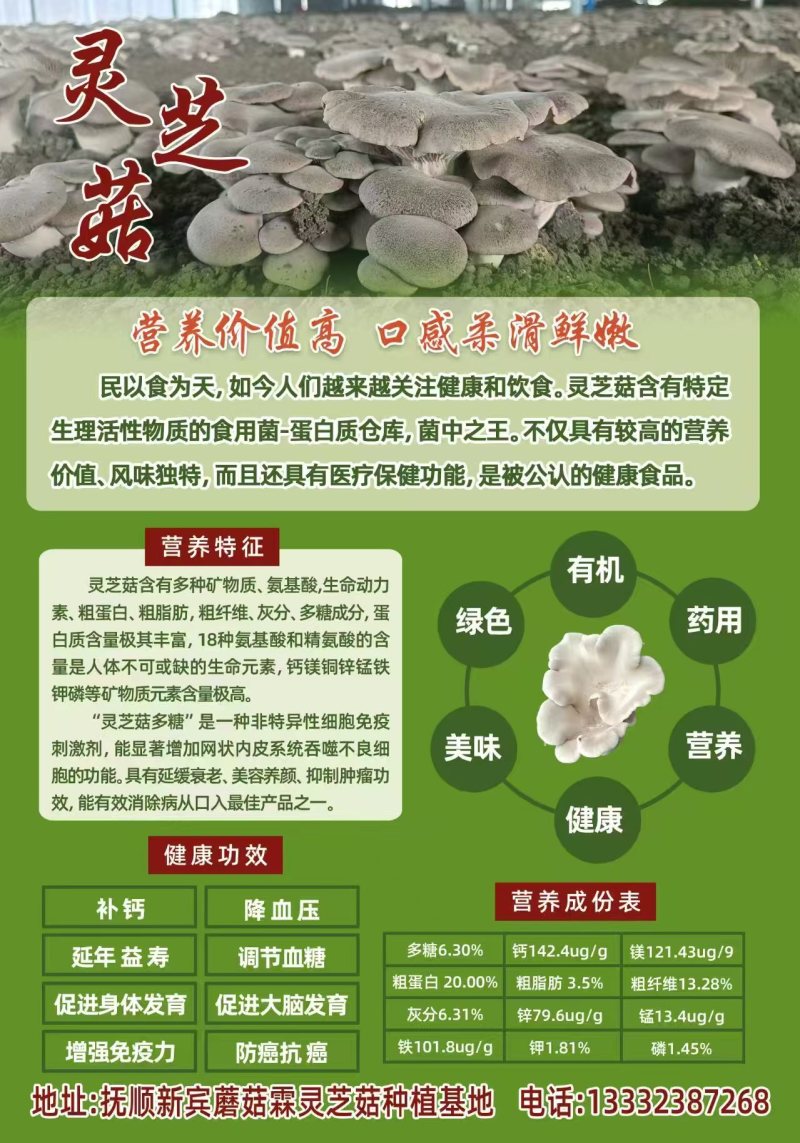 灵芝菇鲜品干品系列***********