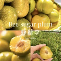 蜂糖李精品李子产地直发品质保障量大从优可视频看货对接