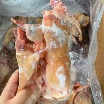 去骨生牛蹄带全筋火烧毛