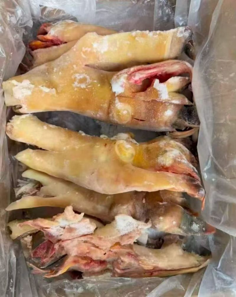 去骨生牛蹄带全筋火烧毛