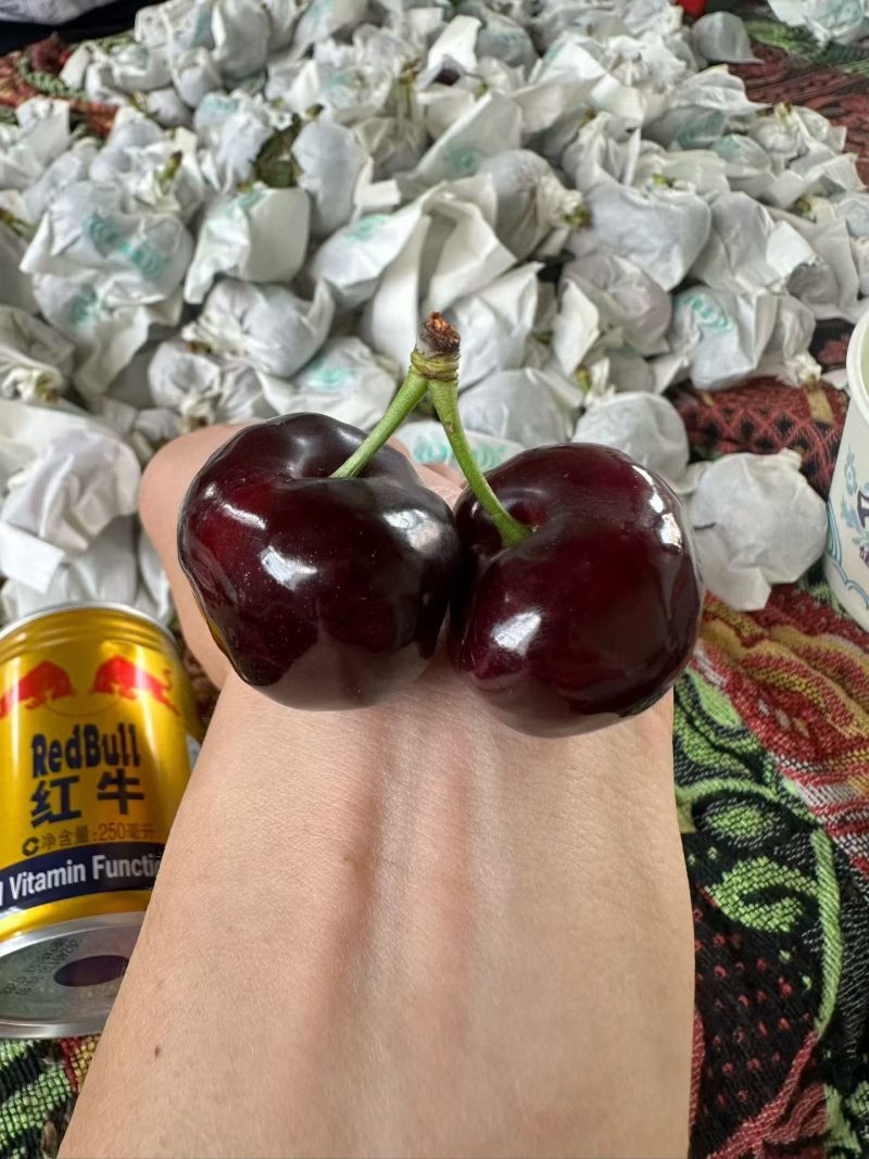 车厘子价格便宜了