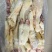 去骨生牛蹄