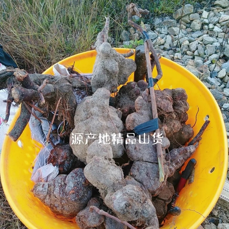 云南野生何首乌